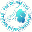 Pae Tai Pae Uta